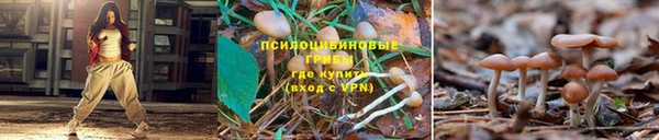 дмт Елабуга