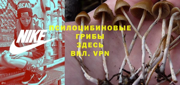 соль ск Елизово