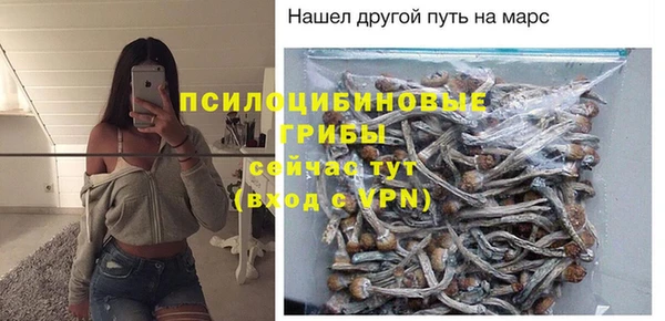 а пвп мука Ельня