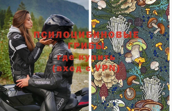 дмт Елабуга